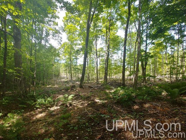 40-acres Co Rd 467 Germfask, MI 49836 - Photo 5 of 22