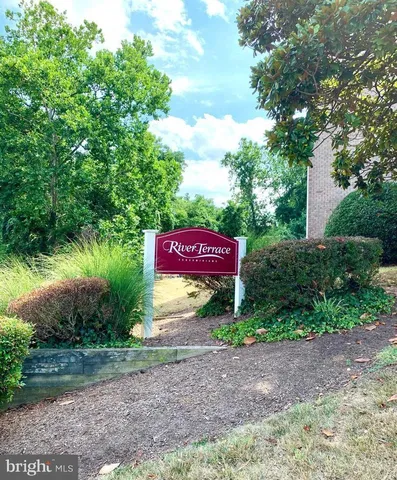 a view of a lake with boats and trees in the background