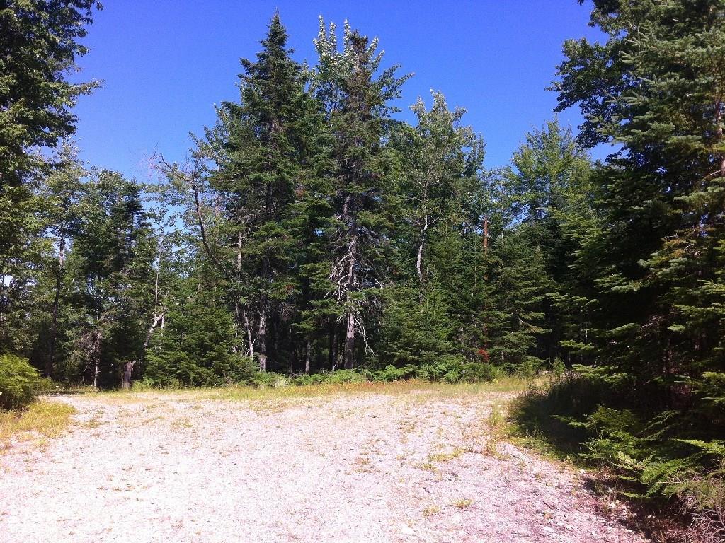 Lot 6 My Way Rd Mount Mount Desert, ME 04660 - Photo 10 of 10 Photo