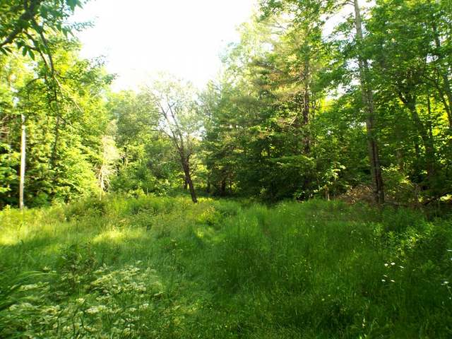 3.6-acre Maywood Road Deerbrook, WI 54424 - Photo 20 of 20 Gallery Image 20