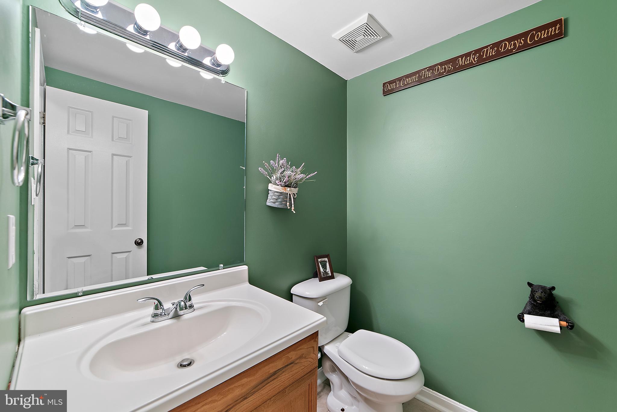 3041 Freezeland Road Linden, VA 22642 - Photo 17 of 44 Main level hall bathroom