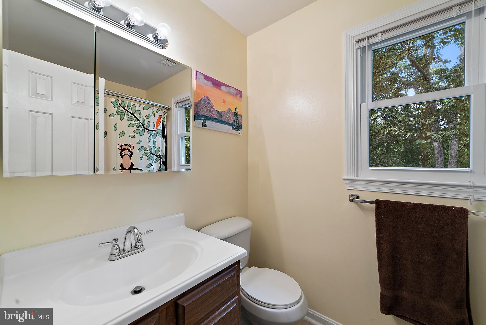 3041 Freezeland Road Linden, VA 22642 - Photo 25 of 44 Gallery Image 25