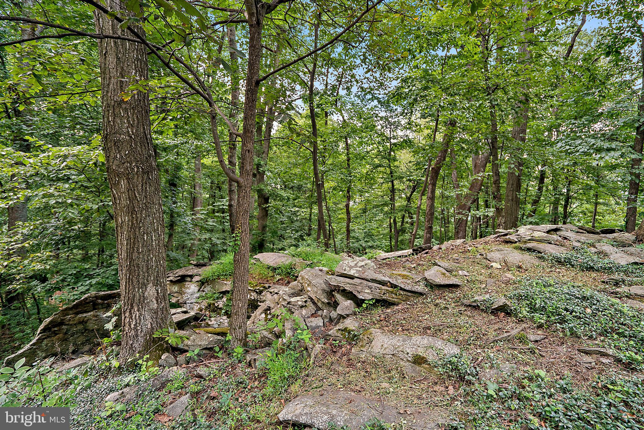 3041 Freezeland Road Linden, VA 22642 - Photo 41 of 44 Gallery Image 41