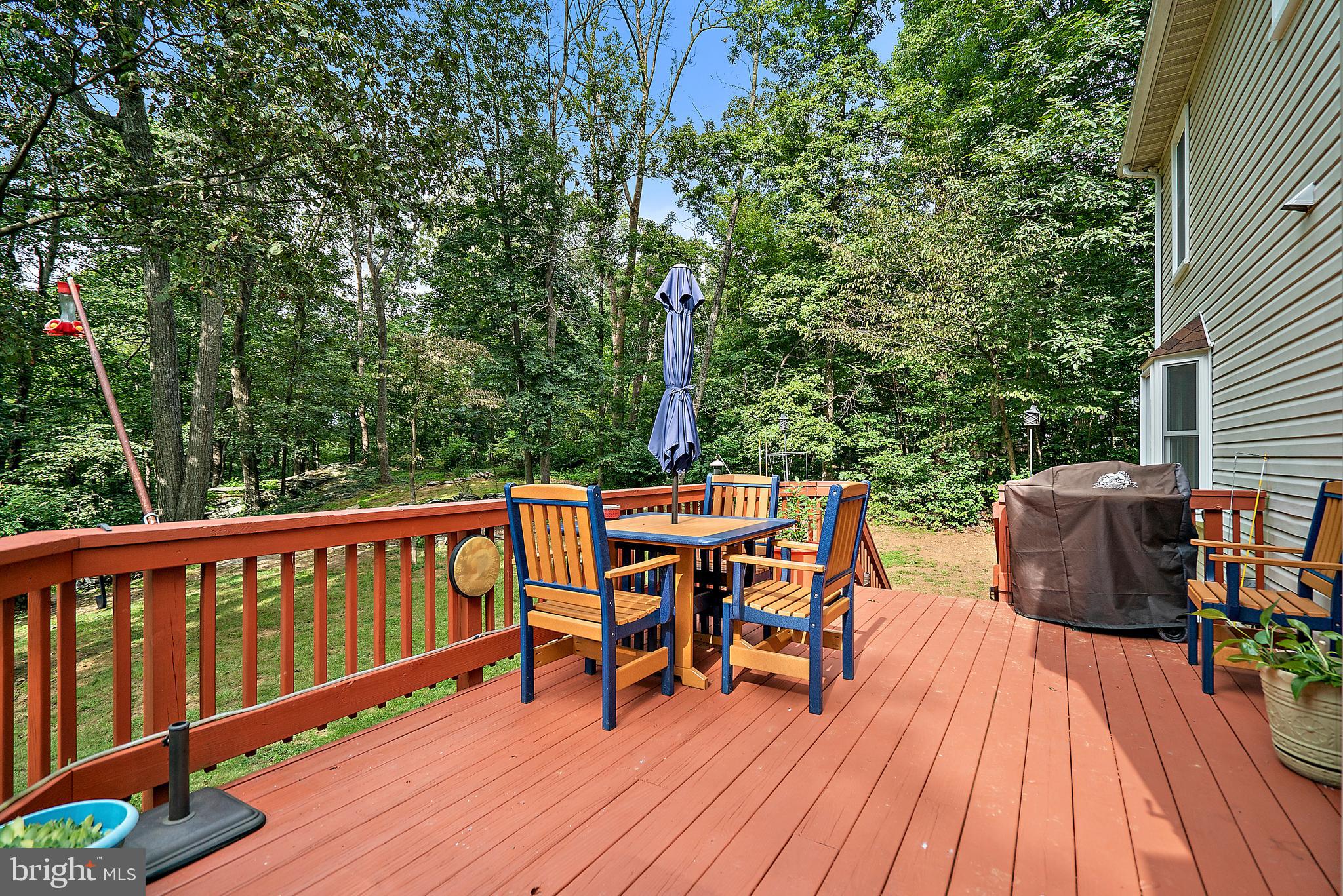 3041 Freezeland Road Linden, VA 22642 - Photo 44 of 44 Back deck in amazing condition