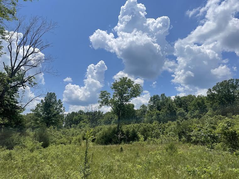 0 Co Road Ava, MO 65608 - Photo 11 of 15 0-14