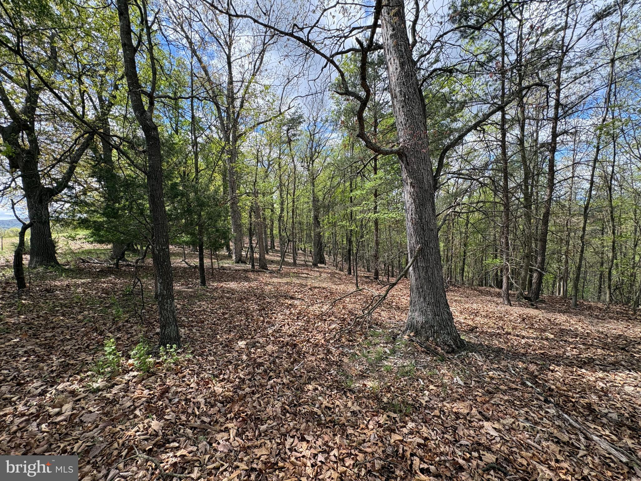 10-ac Moon Ridge Lane Burlington, WV 26710 - Photo 11 of 30 a backyard of a house with lots of green space