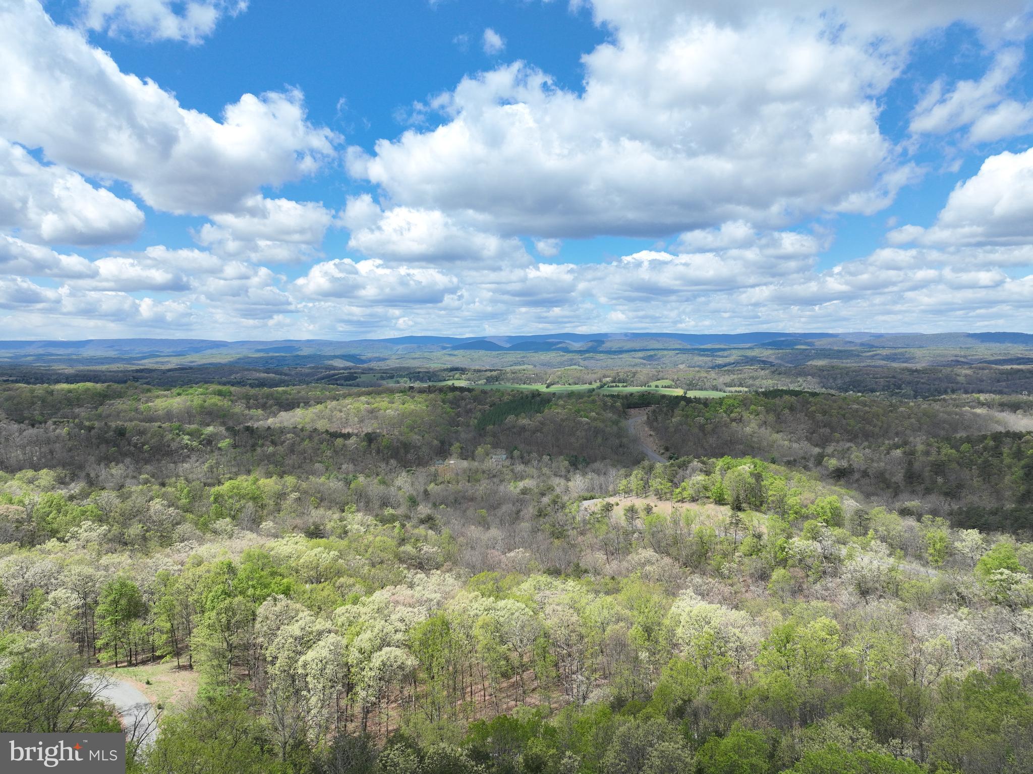 10-ac Moon Ridge Lane Burlington, WV 26710 - Photo 15 of 30 a view of a bunch of trees and bushes