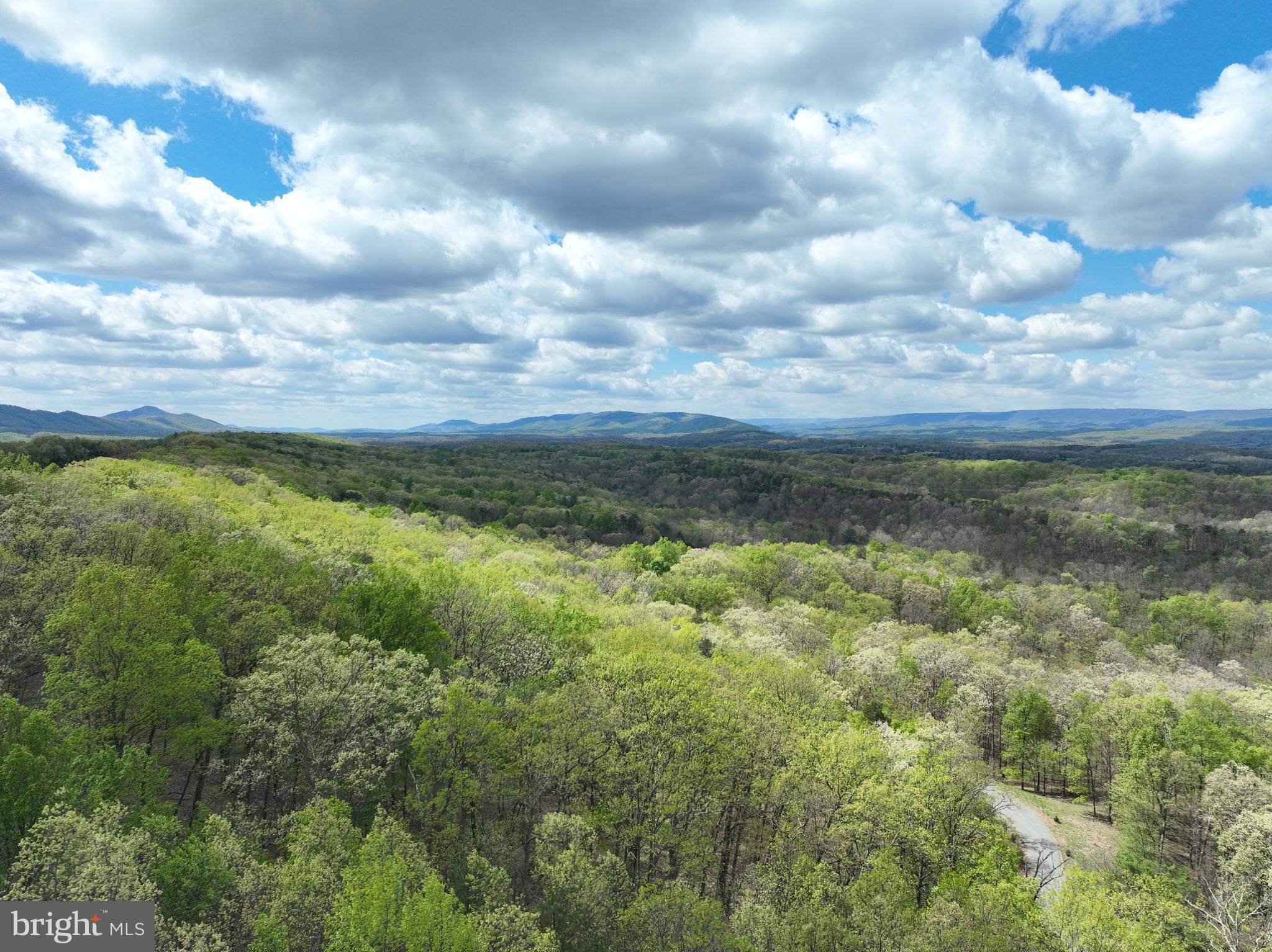 10-ac Moon Ridge Lane Burlington, WV 26710 - Photo 17 of 30 a view of a yard