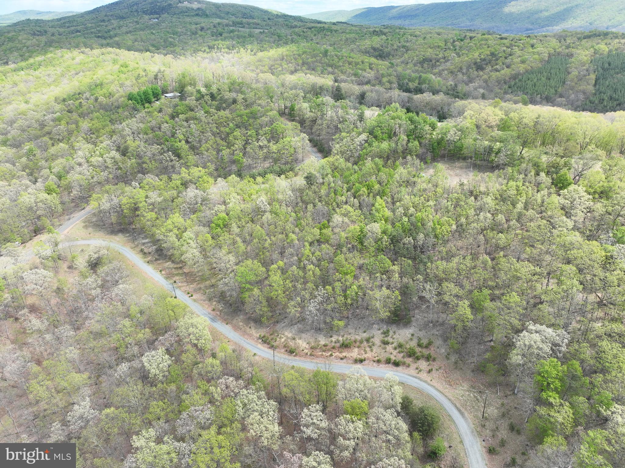10-ac Moon Ridge Lane Burlington, WV 26710 - Photo 19 of 30 a view of a dry yard with green space