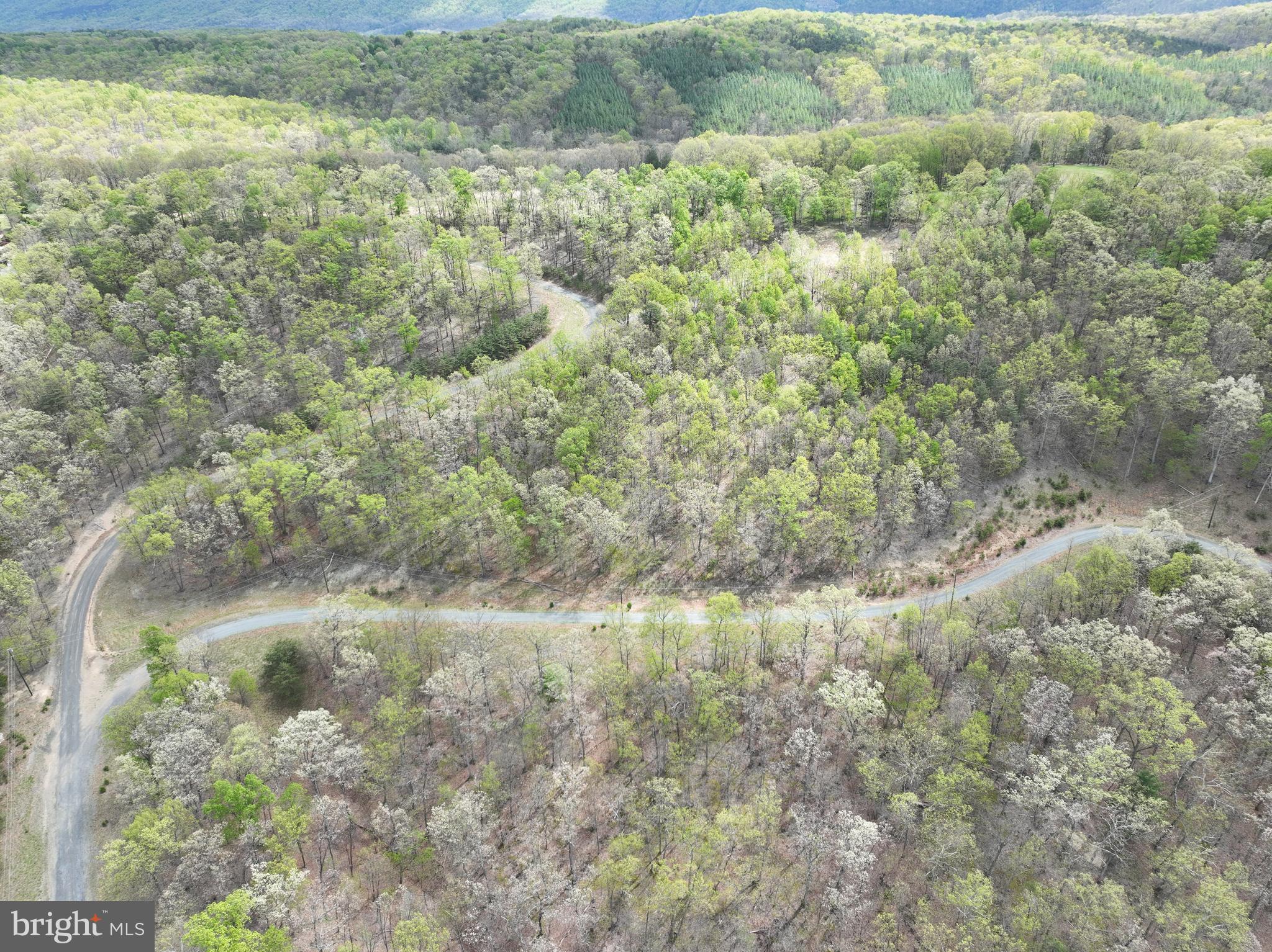 10-ac Moon Ridge Lane Burlington, WV 26710 - Photo 20 of 30 a view of a lake with a yard