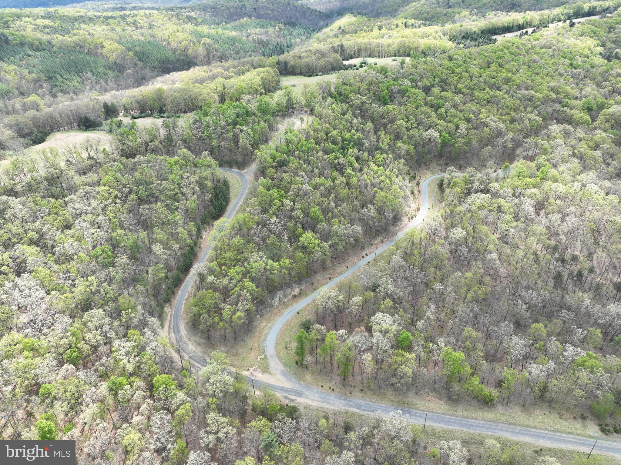 10-ac Moon Ridge Lane Burlington, WV 26710 - Photo 21 of 30 a view of a yard with a trees