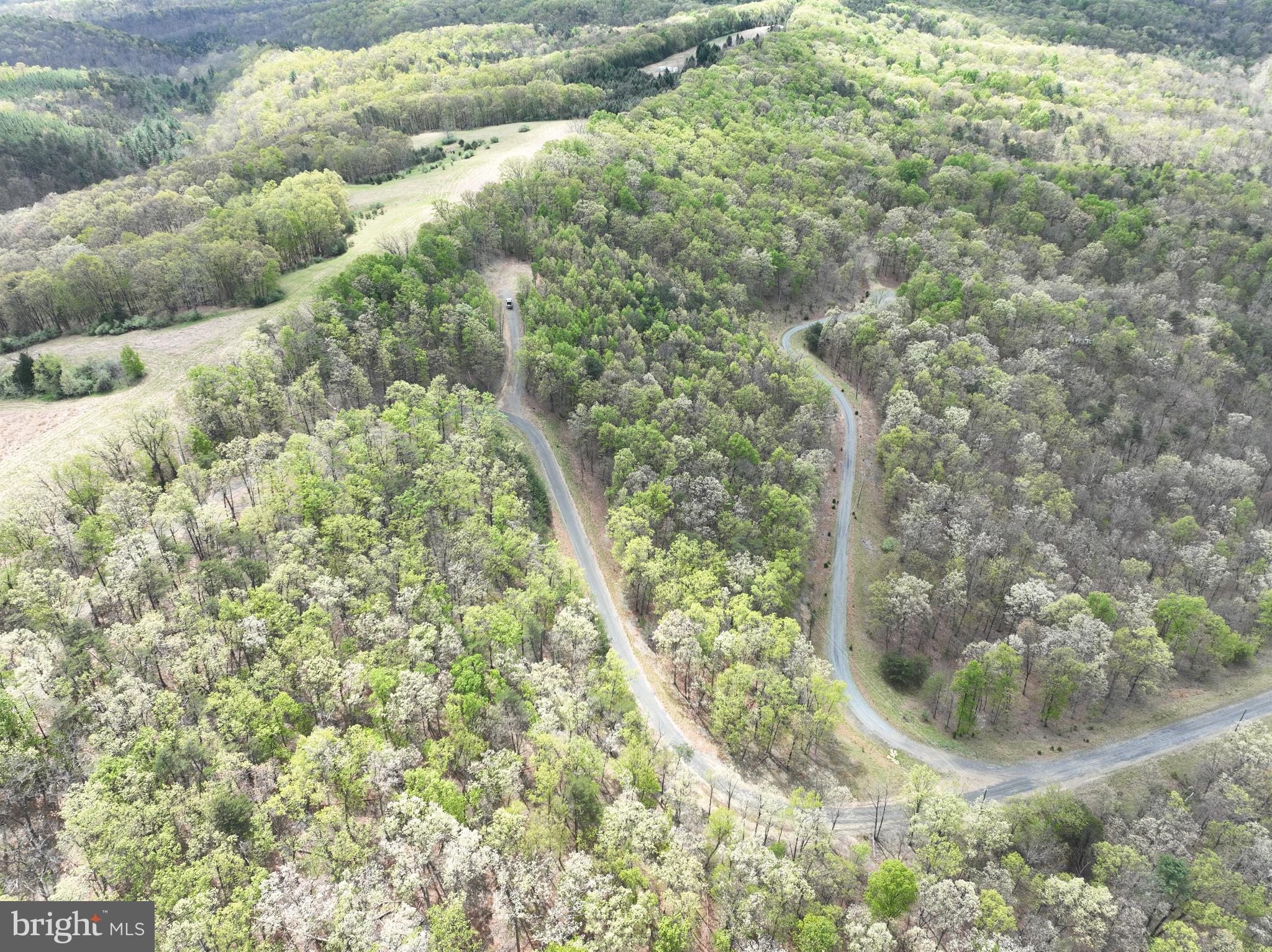 10-ac Moon Ridge Lane Burlington, WV 26710 - Photo 22 of 30 a view of a green yard with large trees