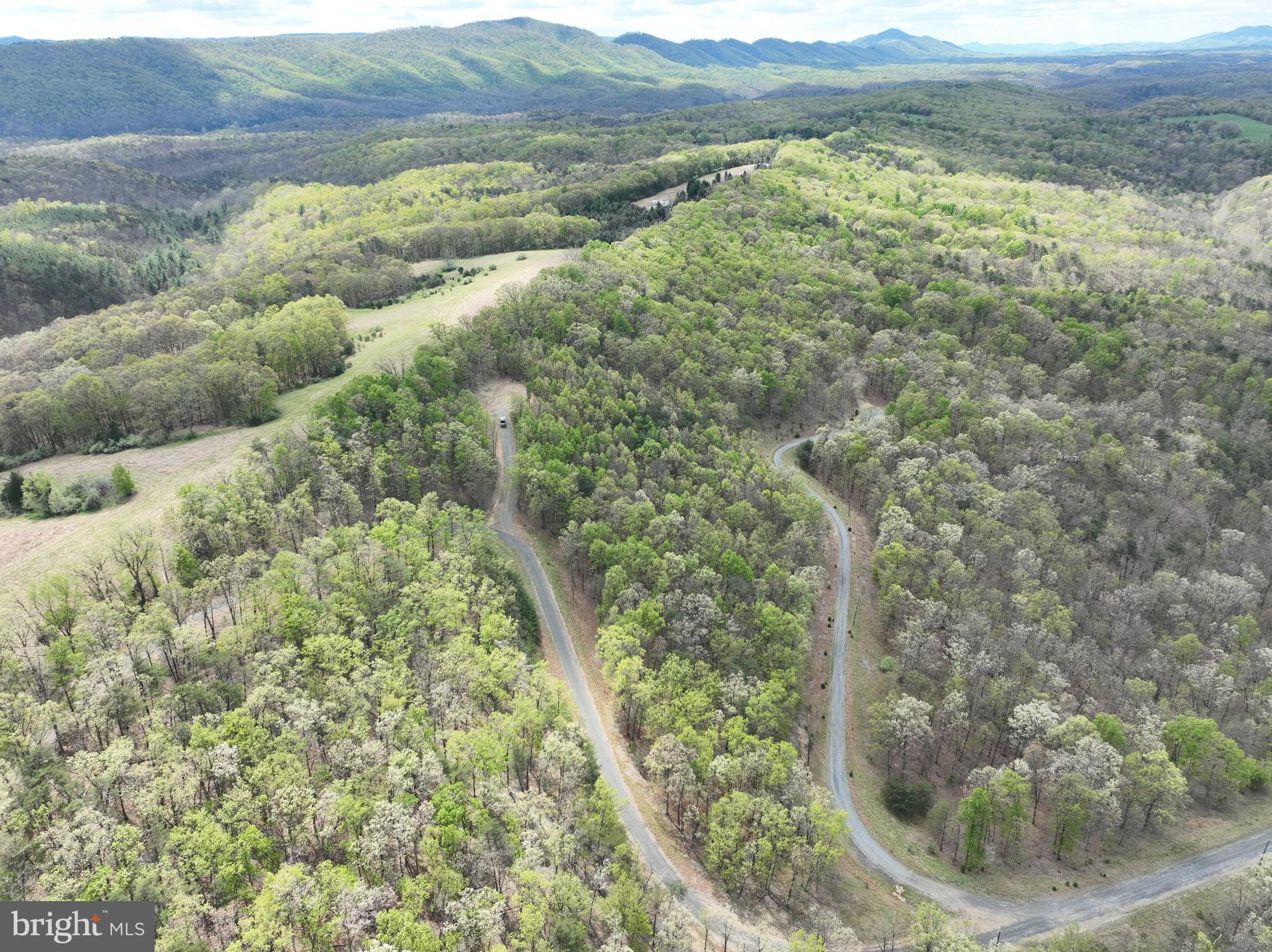 10-ac Moon Ridge Lane Burlington, WV 26710 - Photo 23 of 30 a view of a forest with a yard