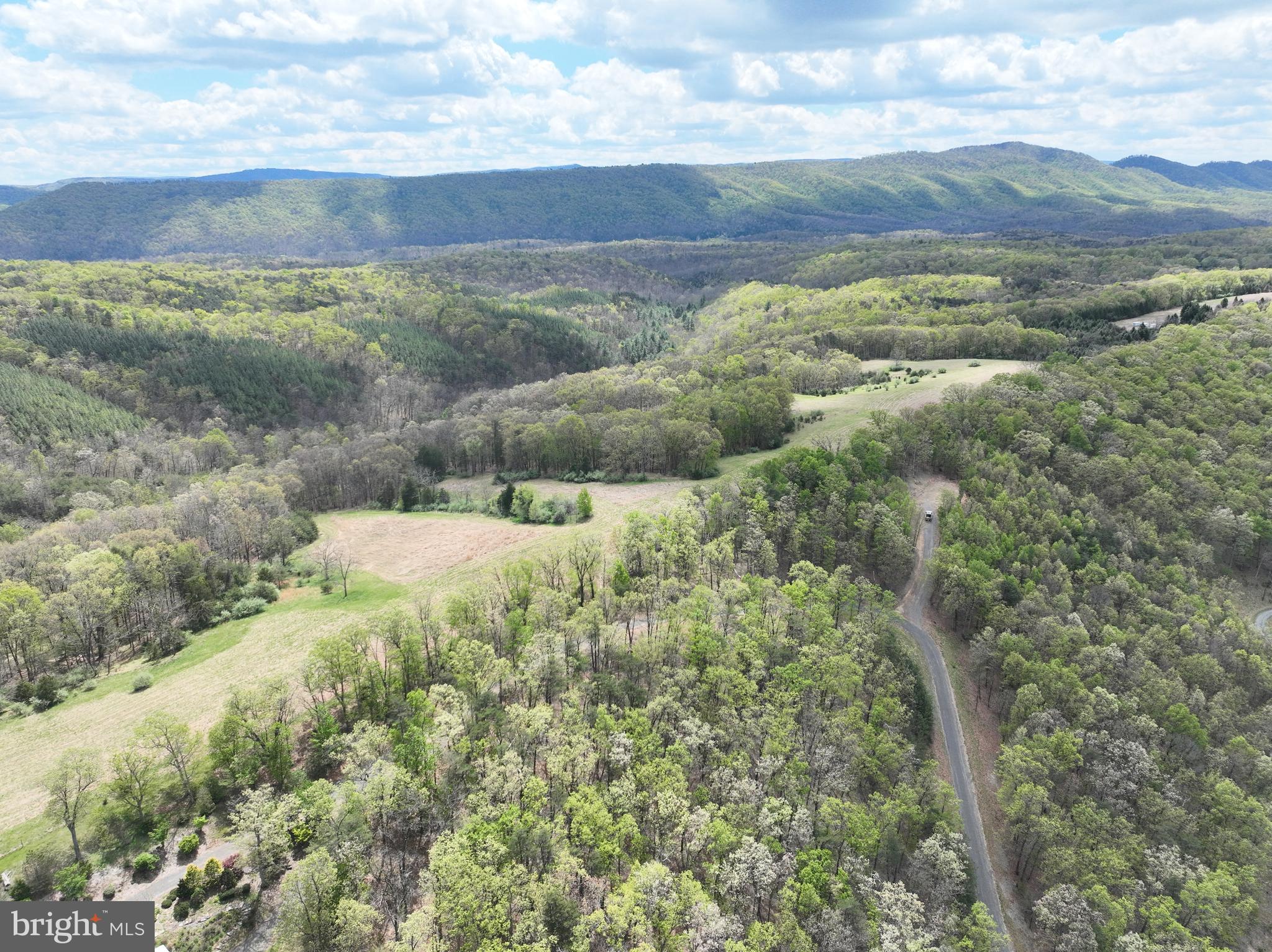 10-ac Moon Ridge Lane Burlington, WV 26710 - Photo 25 of 30 a view of a lush green forest with lots of trees
