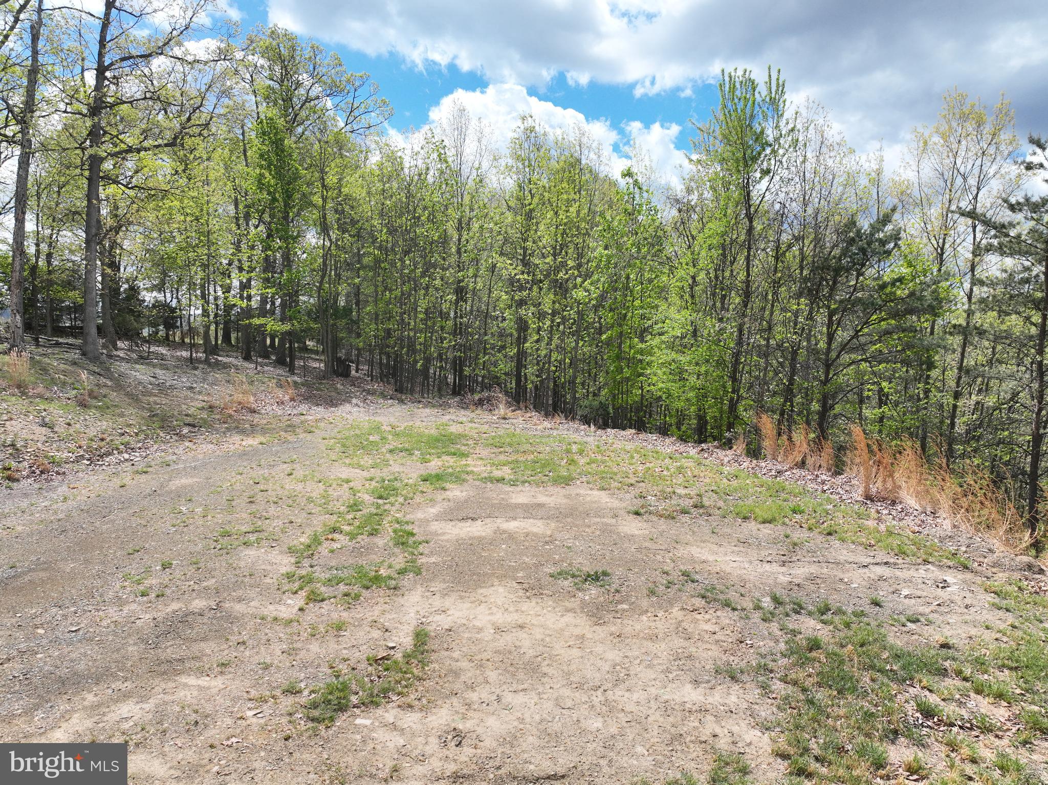 10-ac Moon Ridge Lane Burlington, WV 26710 - Photo 28 of 30 a view of a yard with a tree