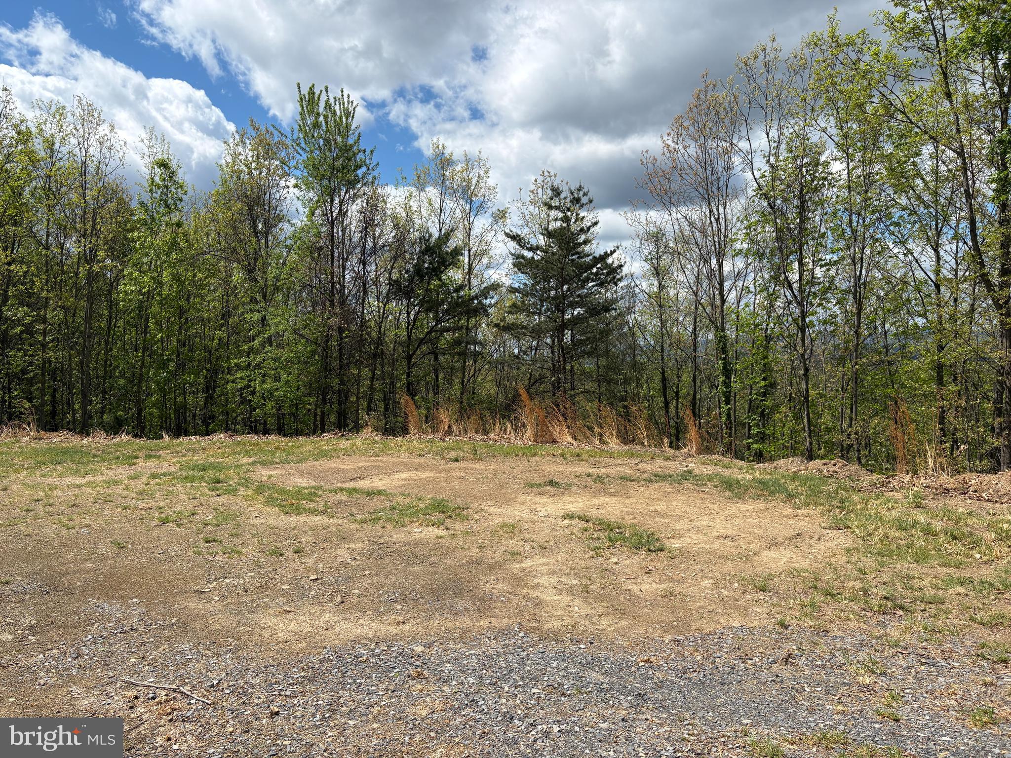 10-ac Moon Ridge Lane Burlington, WV 26710 - Photo 29 of 30 a view of a yard with a tree