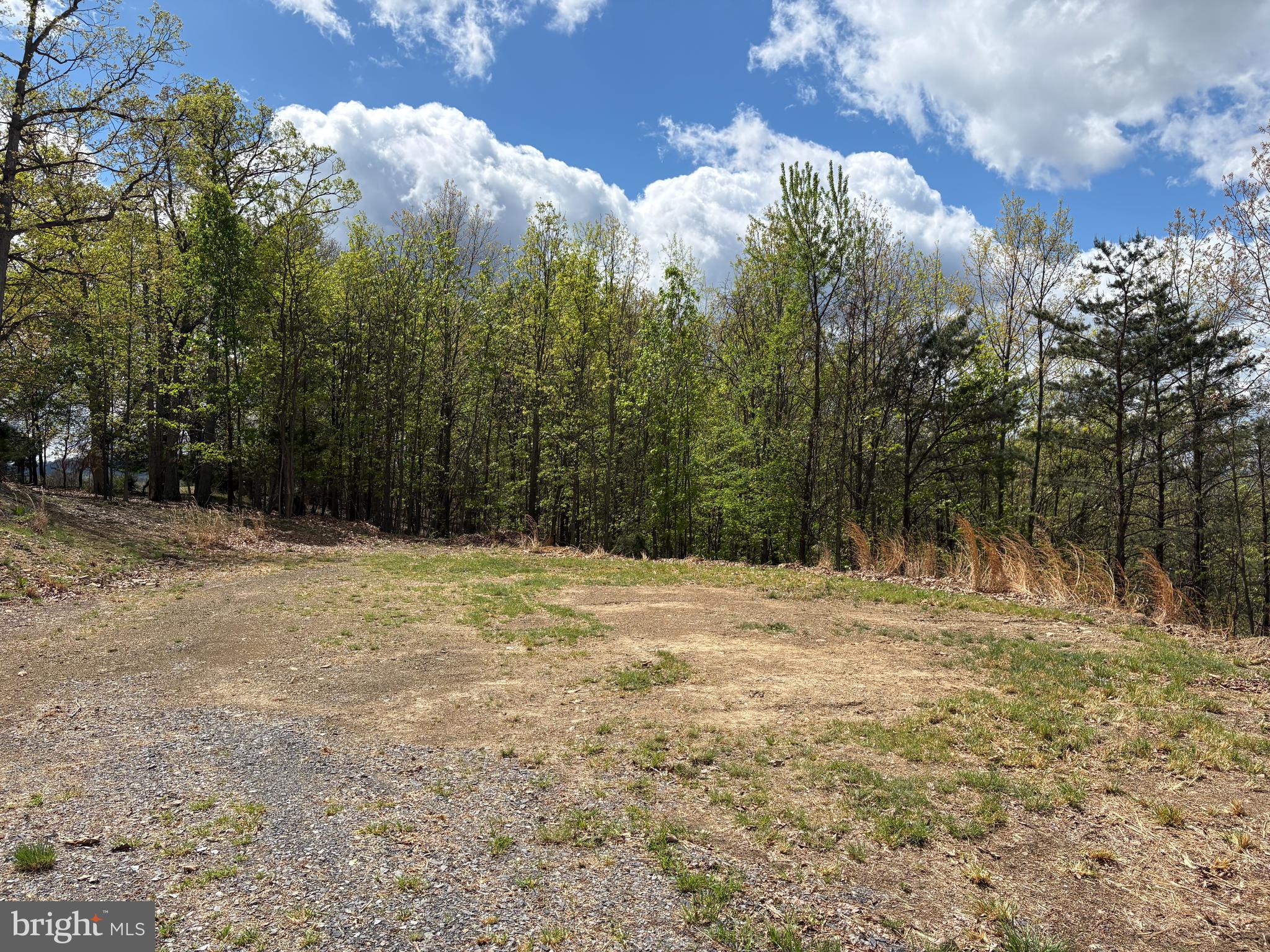 10-ac Moon Ridge Lane Burlington, WV 26710 - Photo 30 of 30 a view of dirt yard with a large tree