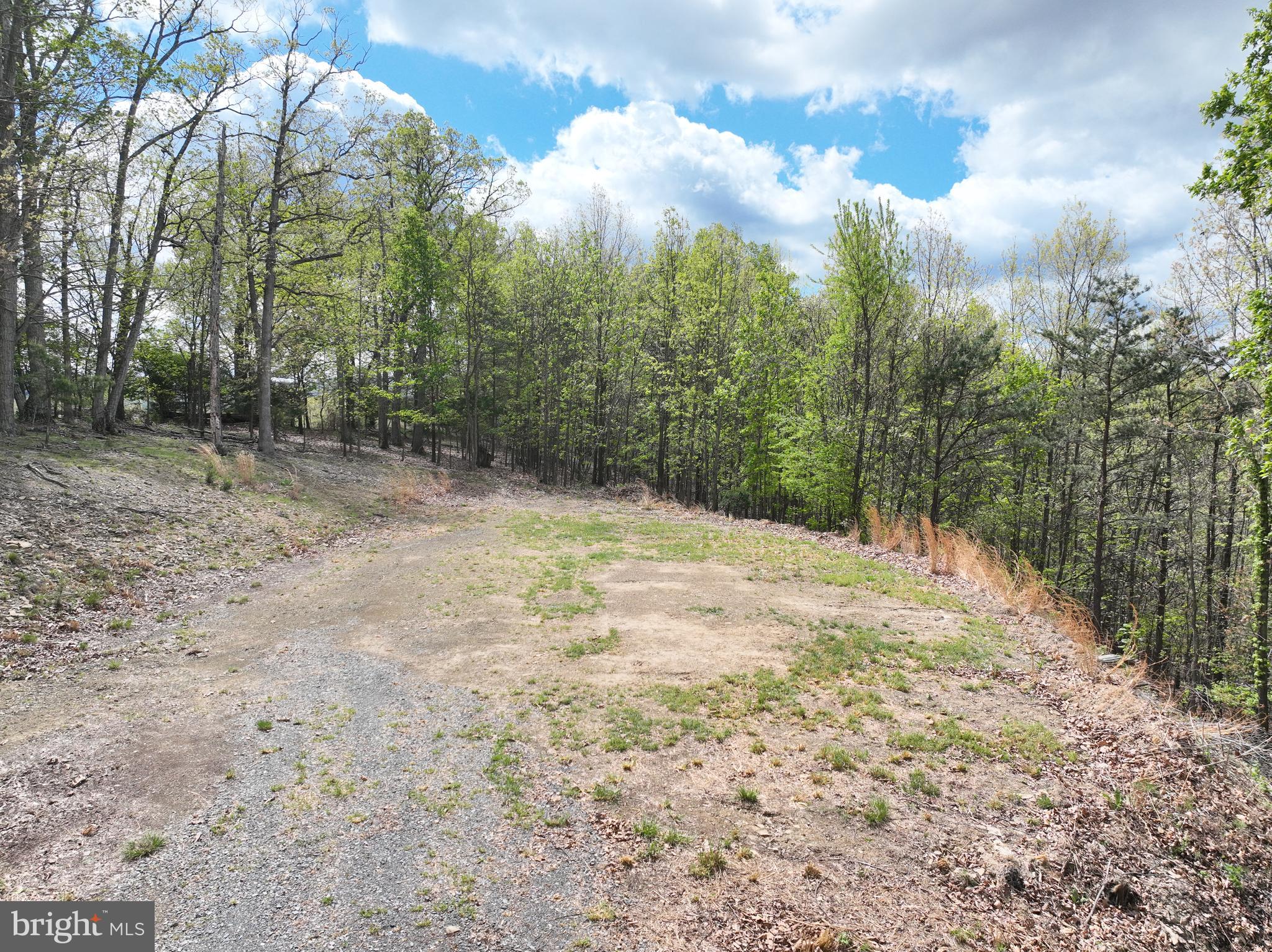 10-ac Moon Ridge Lane Burlington, WV 26710 - Photo 3 of 30 a view of a yard with trees