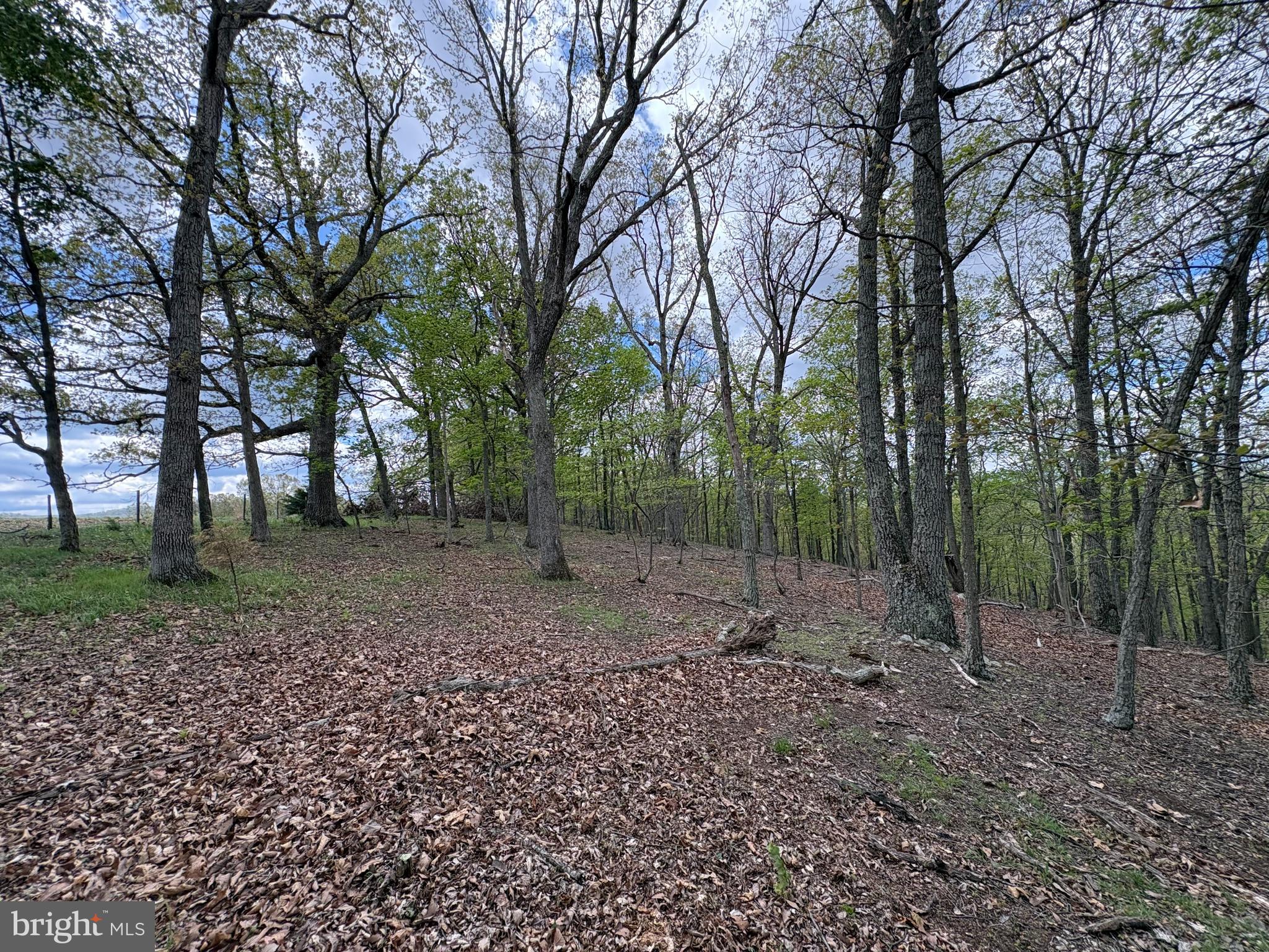 10-ac Moon Ridge Lane Burlington, WV 26710 - Photo 5 of 30 a view of outdoor space with green space