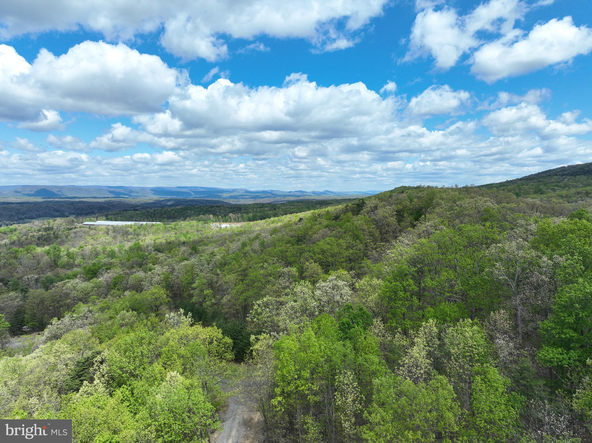 10-ac Moon Ridge Lane Burlington, WV 26710 - Photo 8 of 30