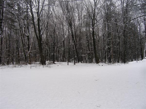11 Nicholas Road Hopkinton, MA 01748 - Photo 30 of 30 Gallery Image 30