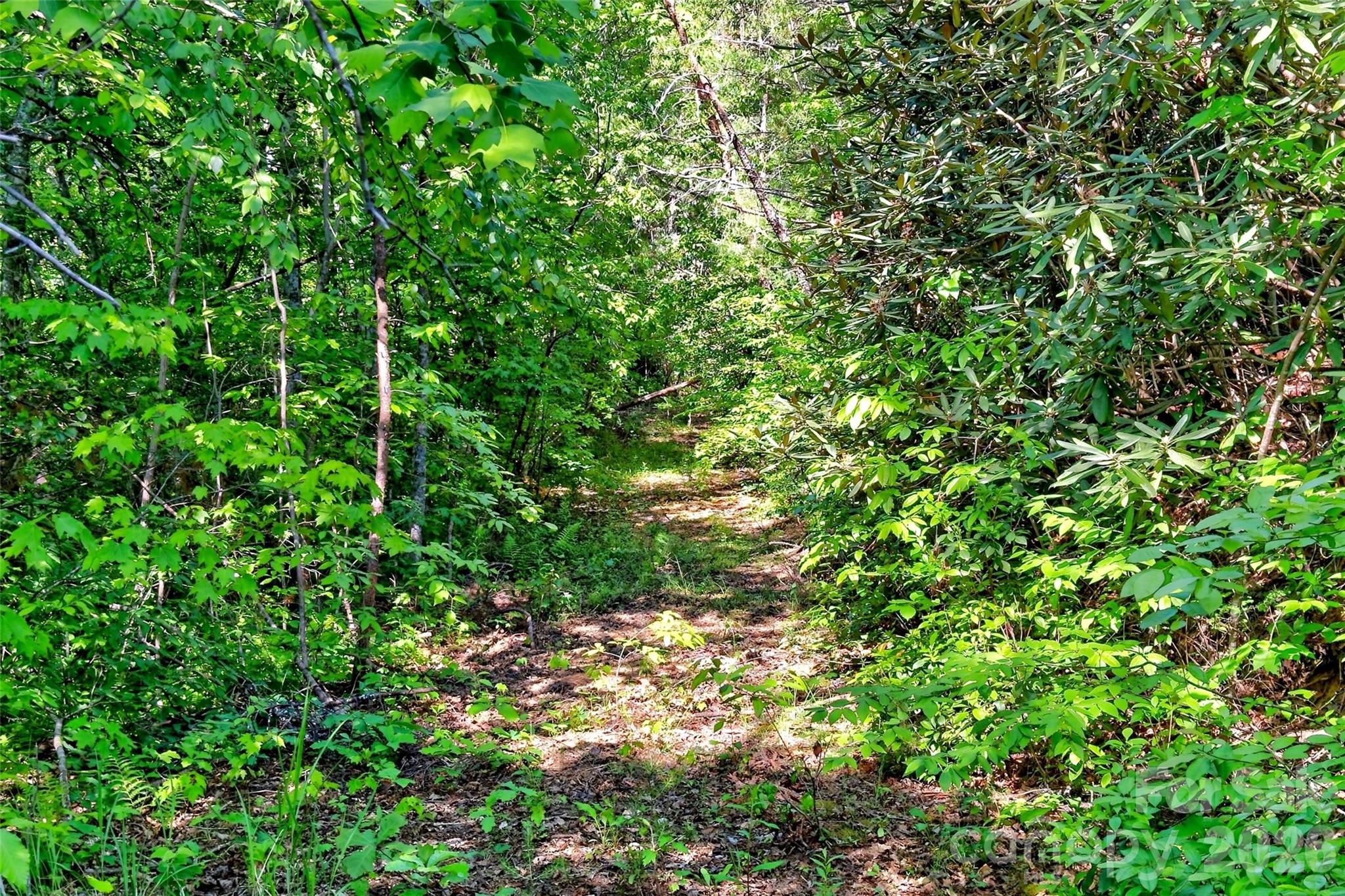3361 Bethlehem Road Old Fort, NC 28762 - Photo 40 of 47