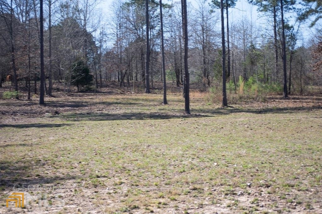 0 Sheppard Road Meansville, GA 30256 - Photo 1 of 1 Gallery Image 1