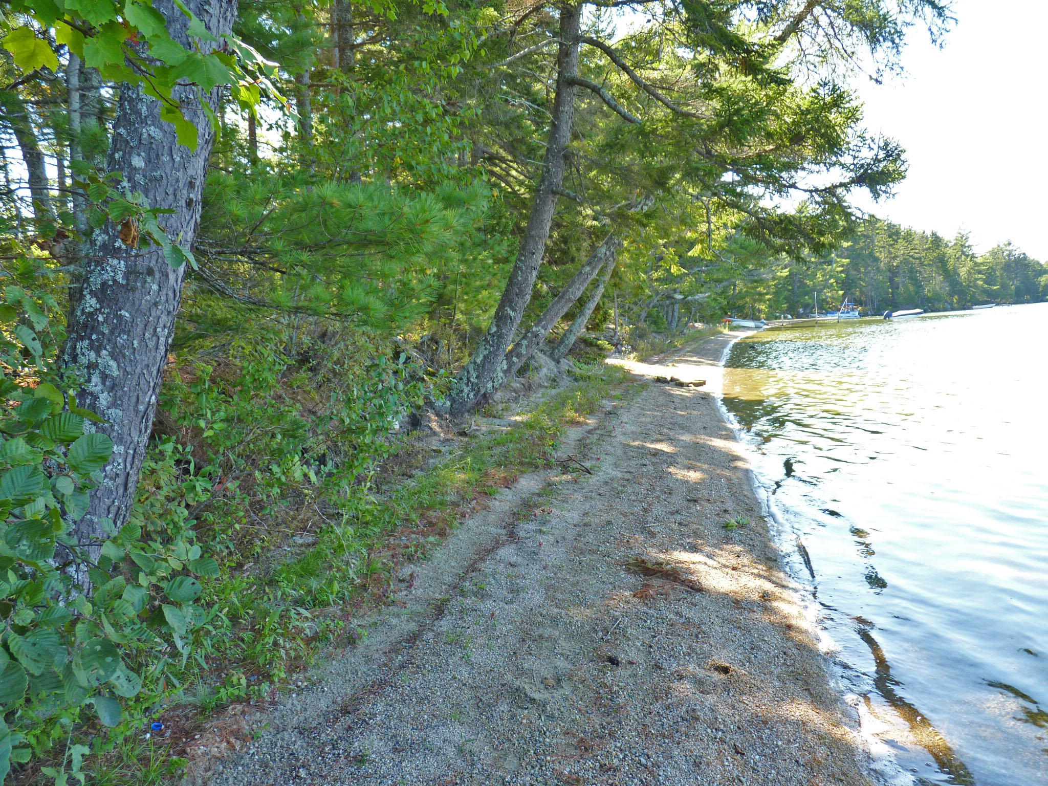 0 Bunker's Beach Road Franklin, ME 04634 - Photo 12 of 12 2a