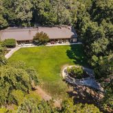 a view of a yard with plants and large trees