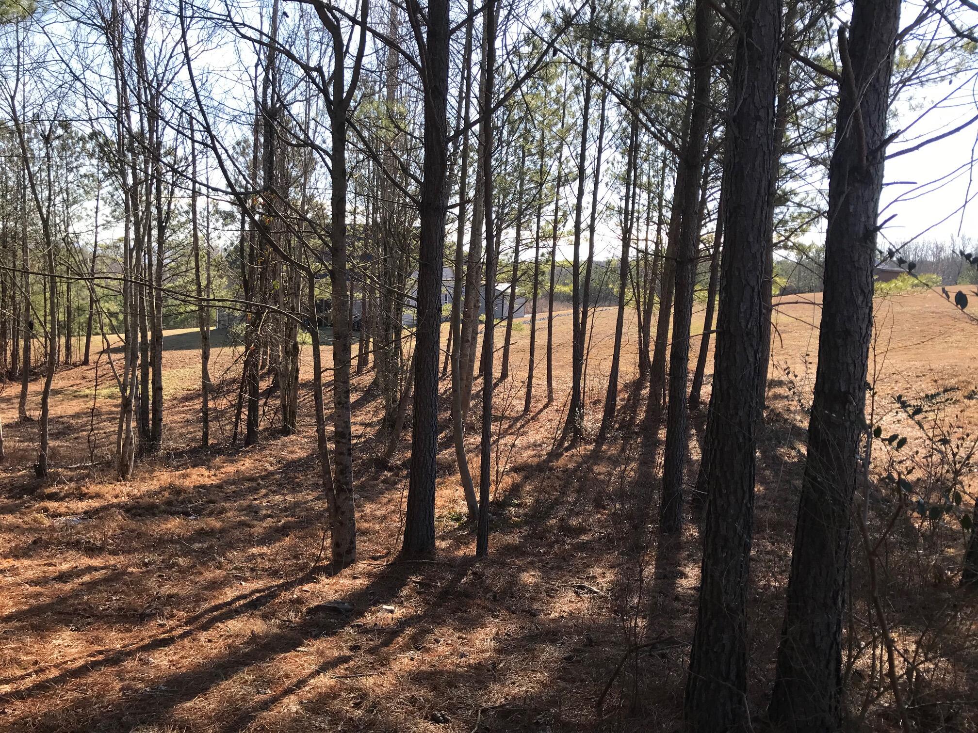 20 John Henry Lewis Road, Unit 20 Dunlap, TN 37327 - Photo 16 of 23 Jh2