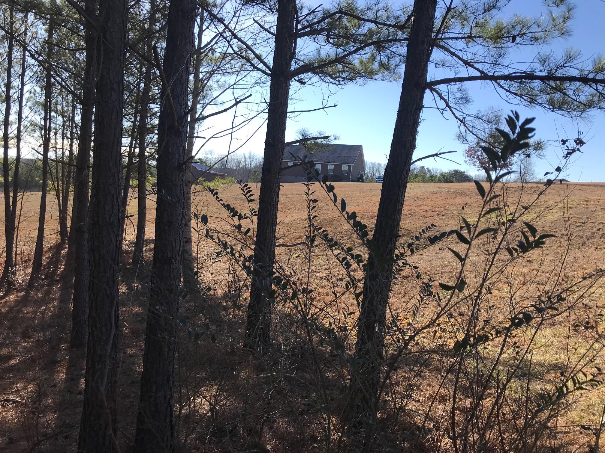 20 John Henry Lewis Road, Unit 20 Dunlap, TN 37327 - Photo 17 of 23 Jh3