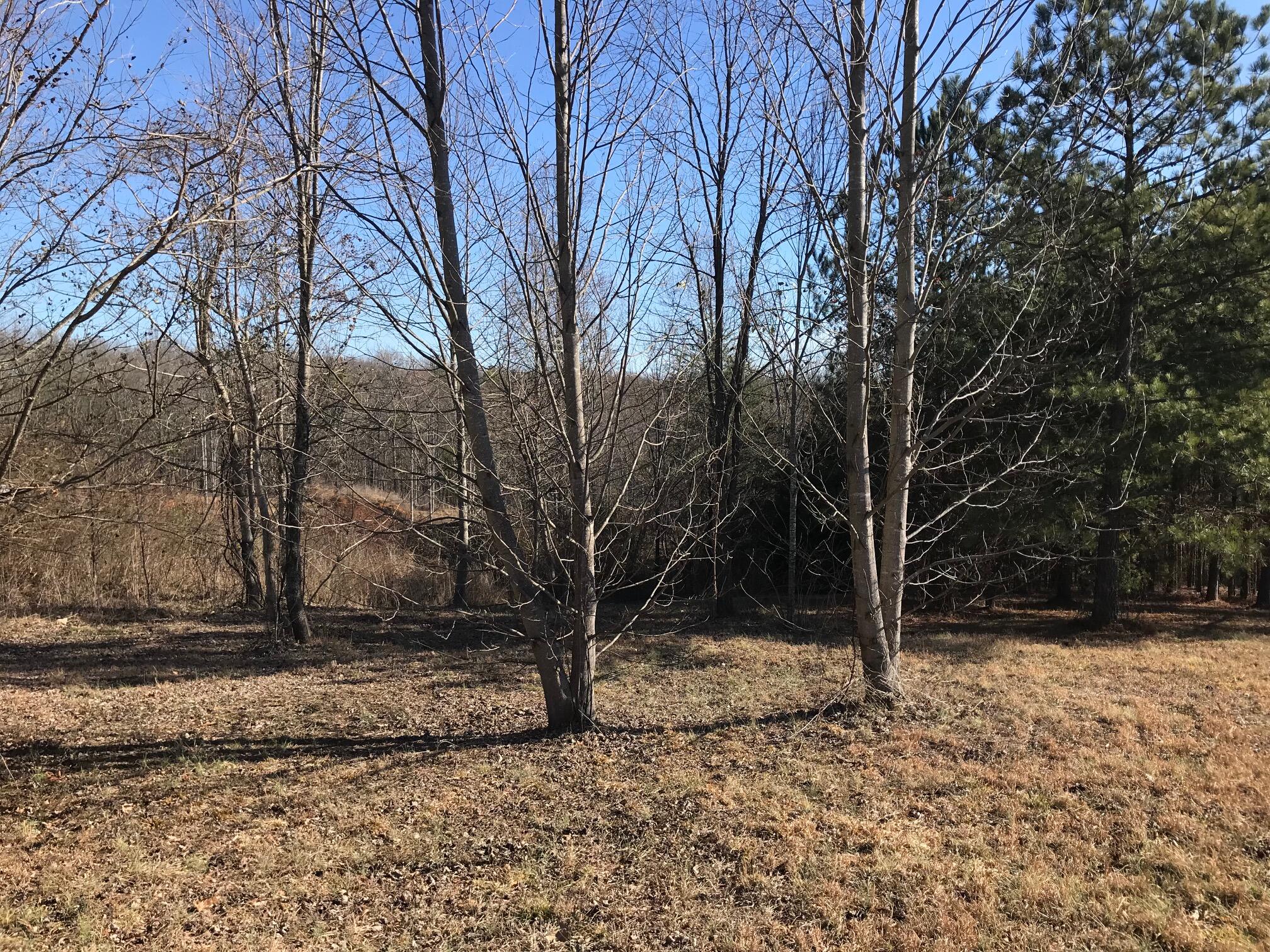 20 John Henry Lewis Road, Unit 20 Dunlap, TN 37327 - Photo 21 of 23 Jh10