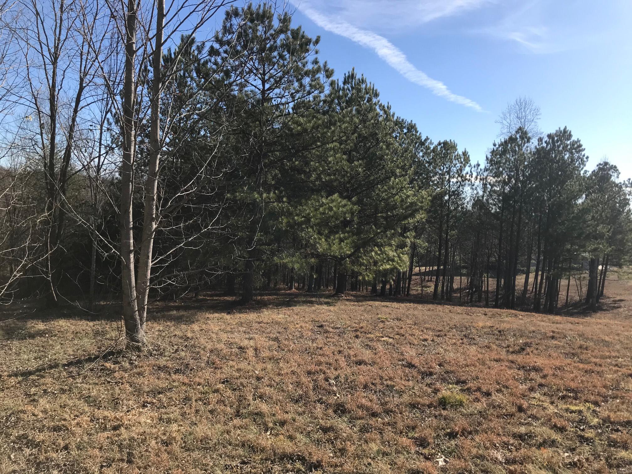 20 John Henry Lewis Road, Unit 20 Dunlap, TN 37327 - Photo 22 of 23 Jh11
