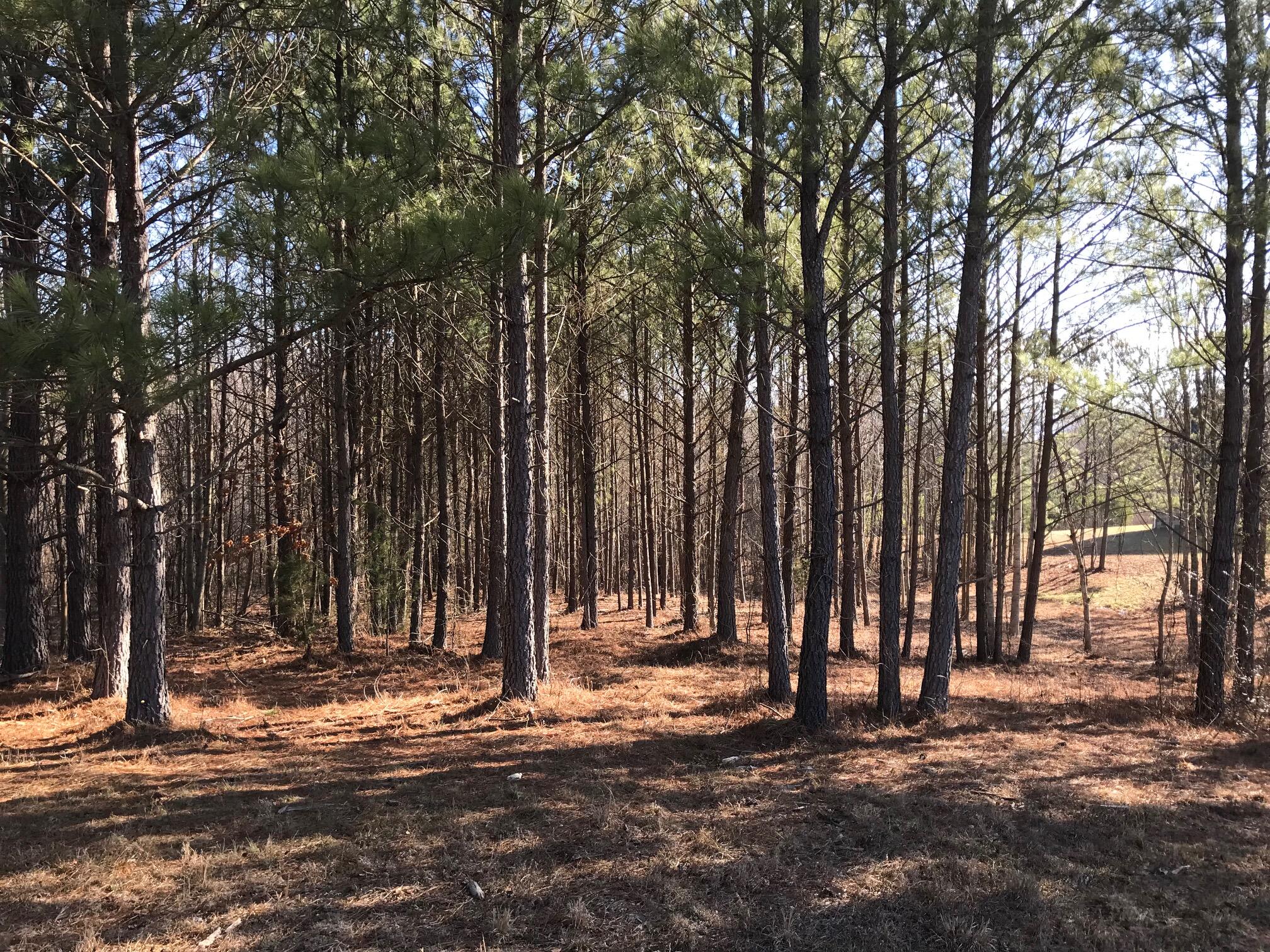 20 John Henry Lewis Road, Unit 20 Dunlap, TN 37327 - Photo 23 of 23 Jh12