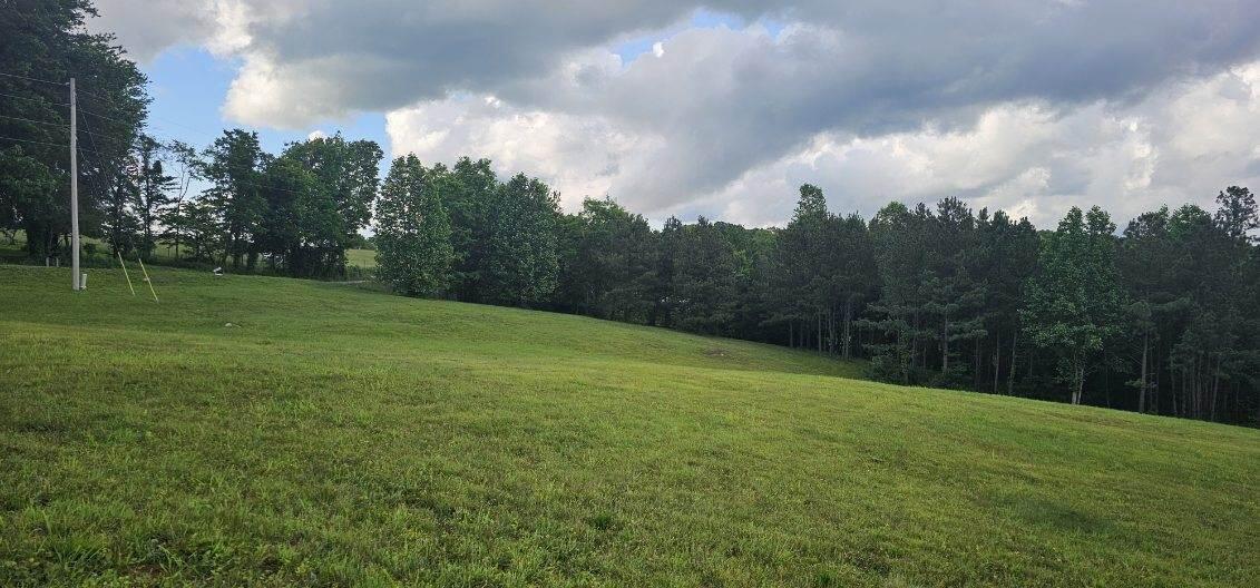 20 John Henry Lewis Road, Unit 20 Dunlap, TN 37327 - Photo 3 of 23 image000002