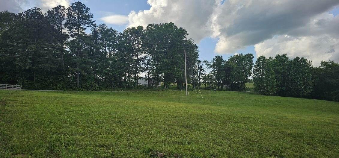 20 John Henry Lewis Road, Unit 20 Dunlap, TN 37327 - Photo 6 of 23 image000001