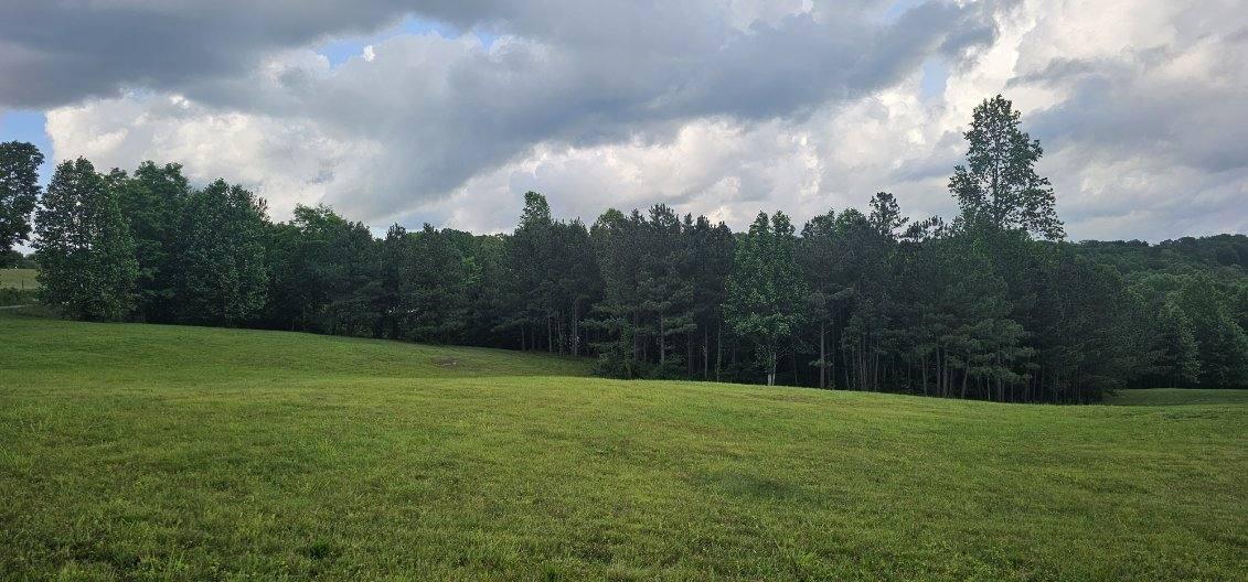 20 John Henry Lewis Road, Unit 20 Dunlap, TN 37327 - Photo 9 of 23 image000003