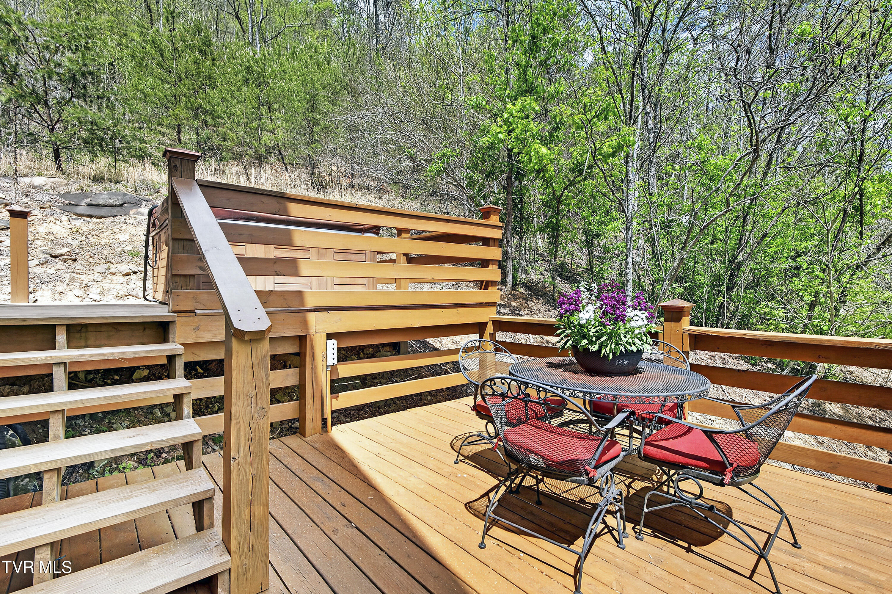 24327 North Fork River Road Abingdon, VA 24210 - Photo 50 of 81 GUEST SUITE DECK