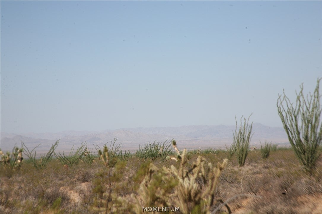 243-15-016 South Custer Road, Unit 3491 Yucca, AZ 86438 - Photo 14 of 61 Gallery Image 14