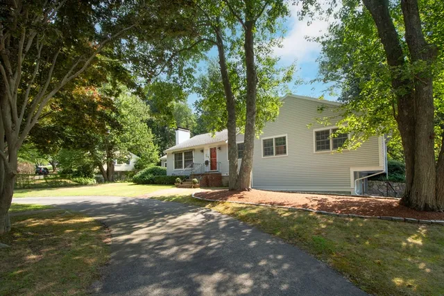 a view of a yard with a house and a large tree