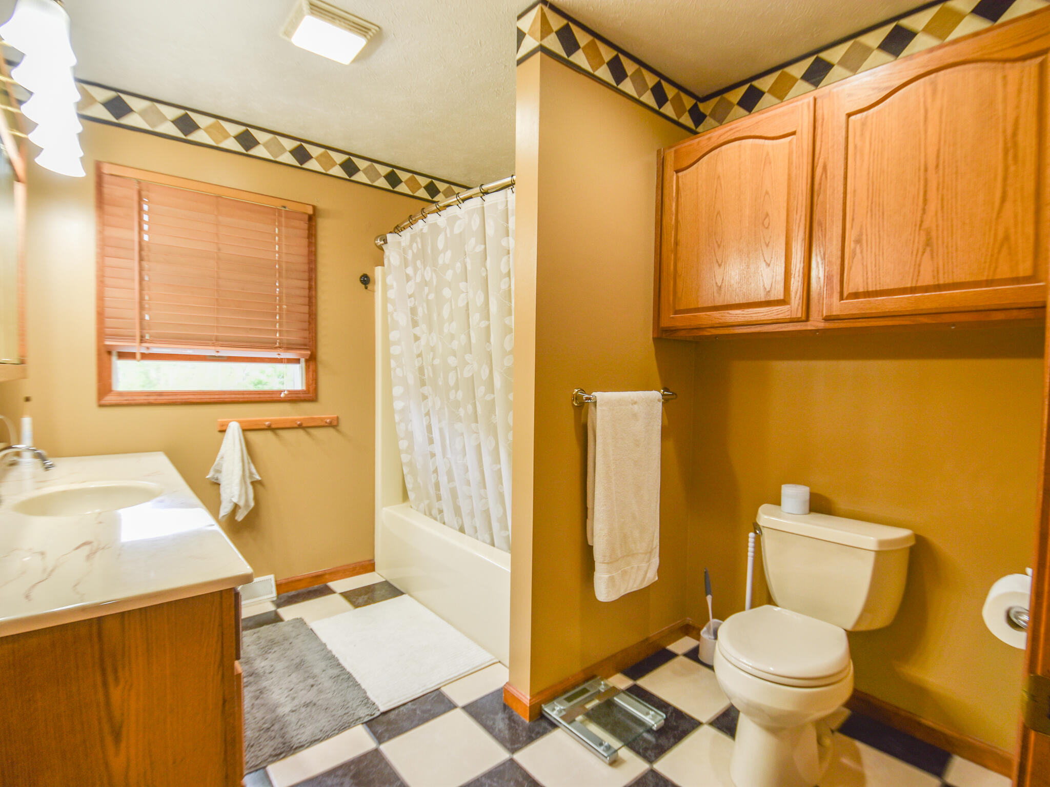 356 Jonesville Road Coldwater, MI 49036 - Photo 15 of 40 DSC_0051