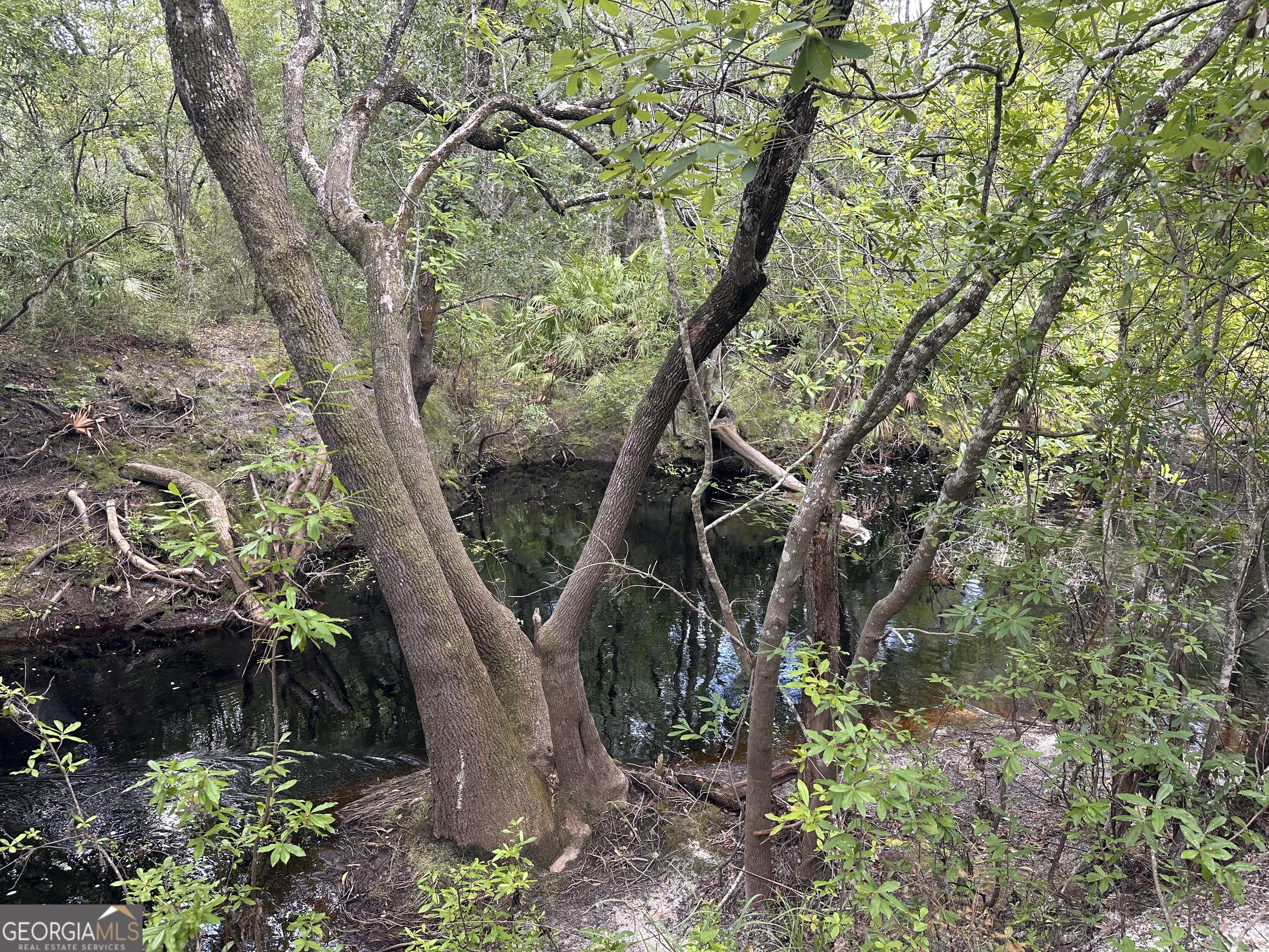 9757 Highway 185 St. George, GA 31562 - Photo 12 of 18