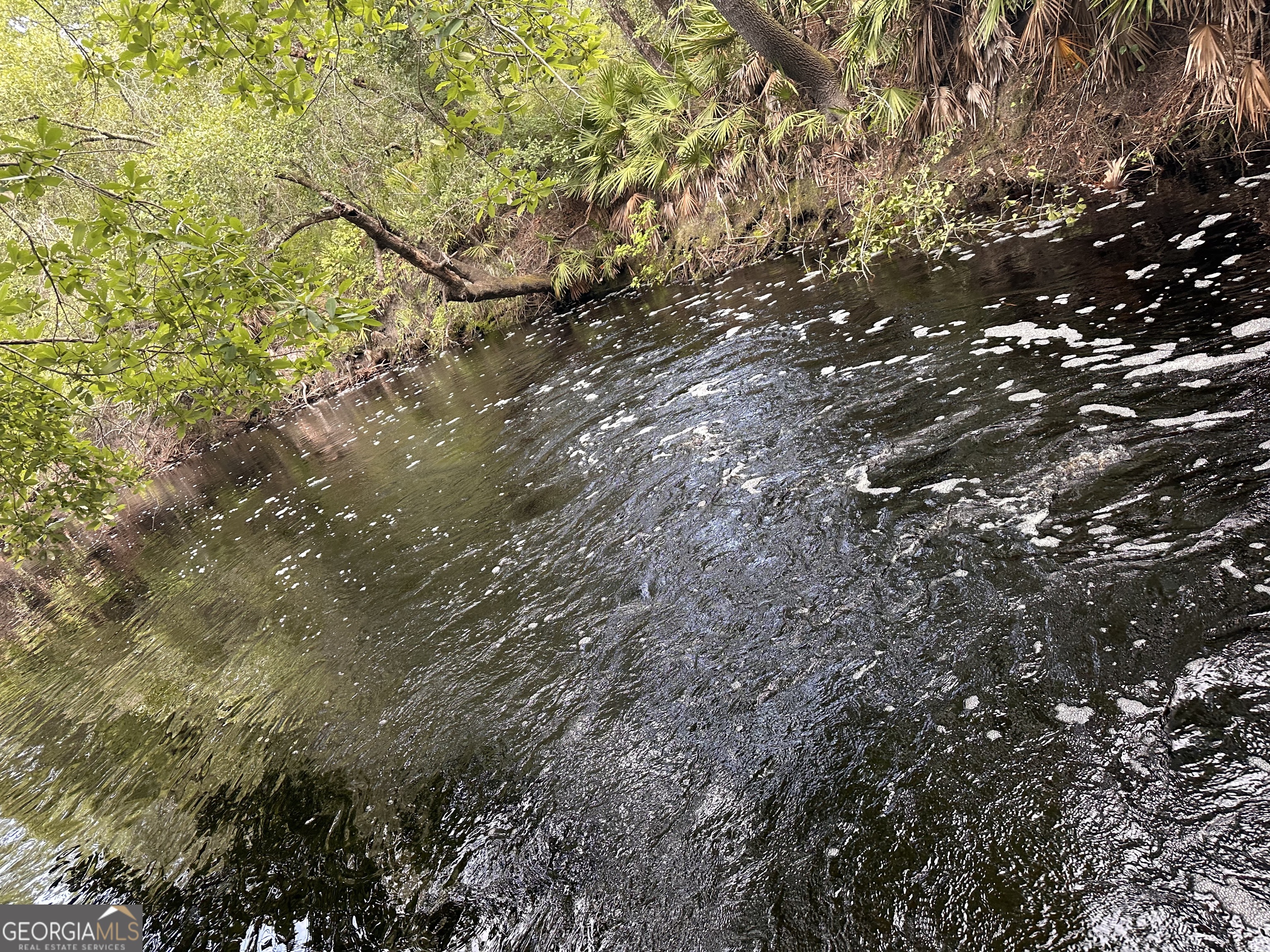 9757 Highway 185 St. George, GA 31562 - Photo 14 of 18