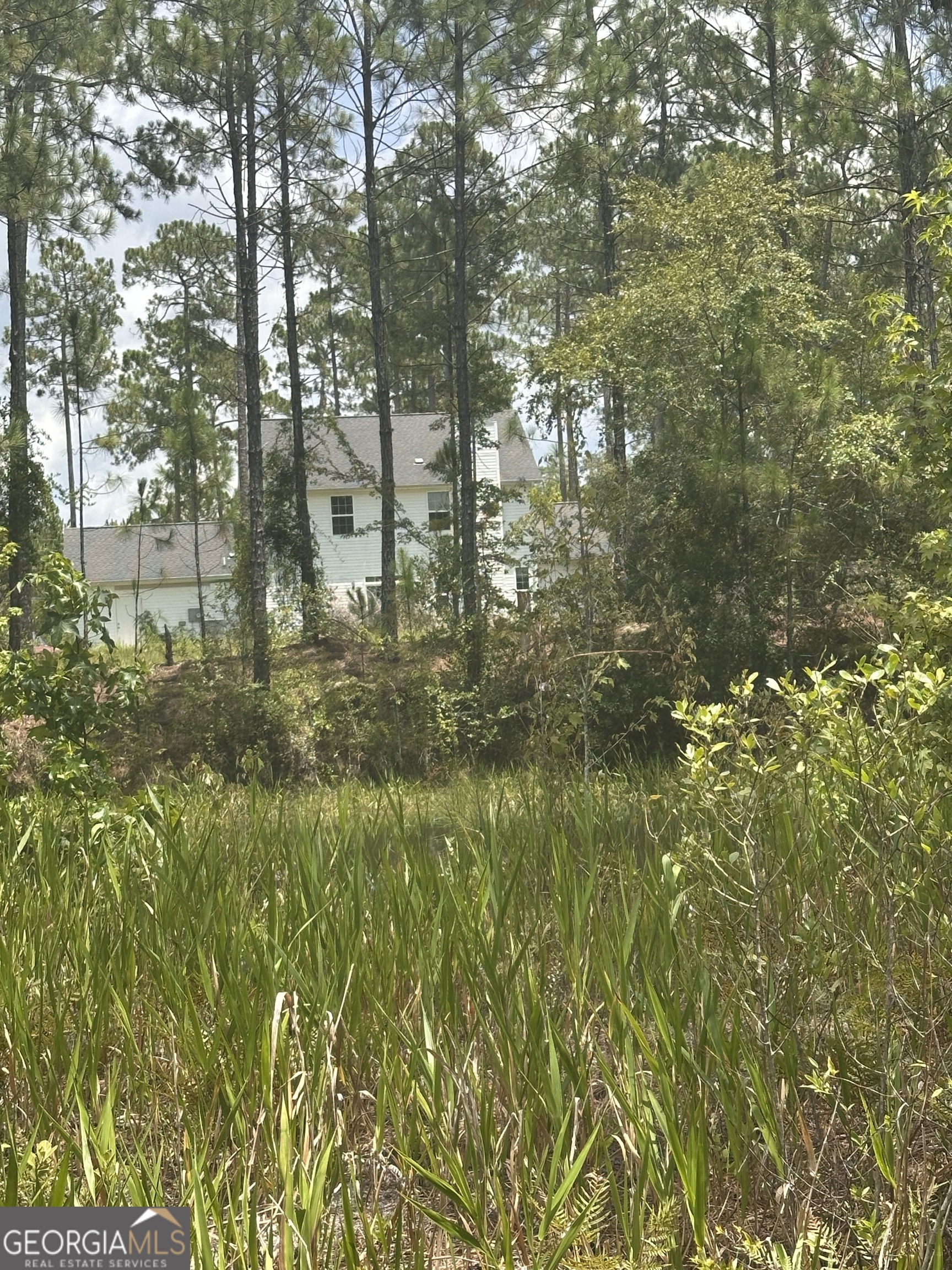 9757 Highway 185 St. George, GA 31562 - Photo 16 of 18