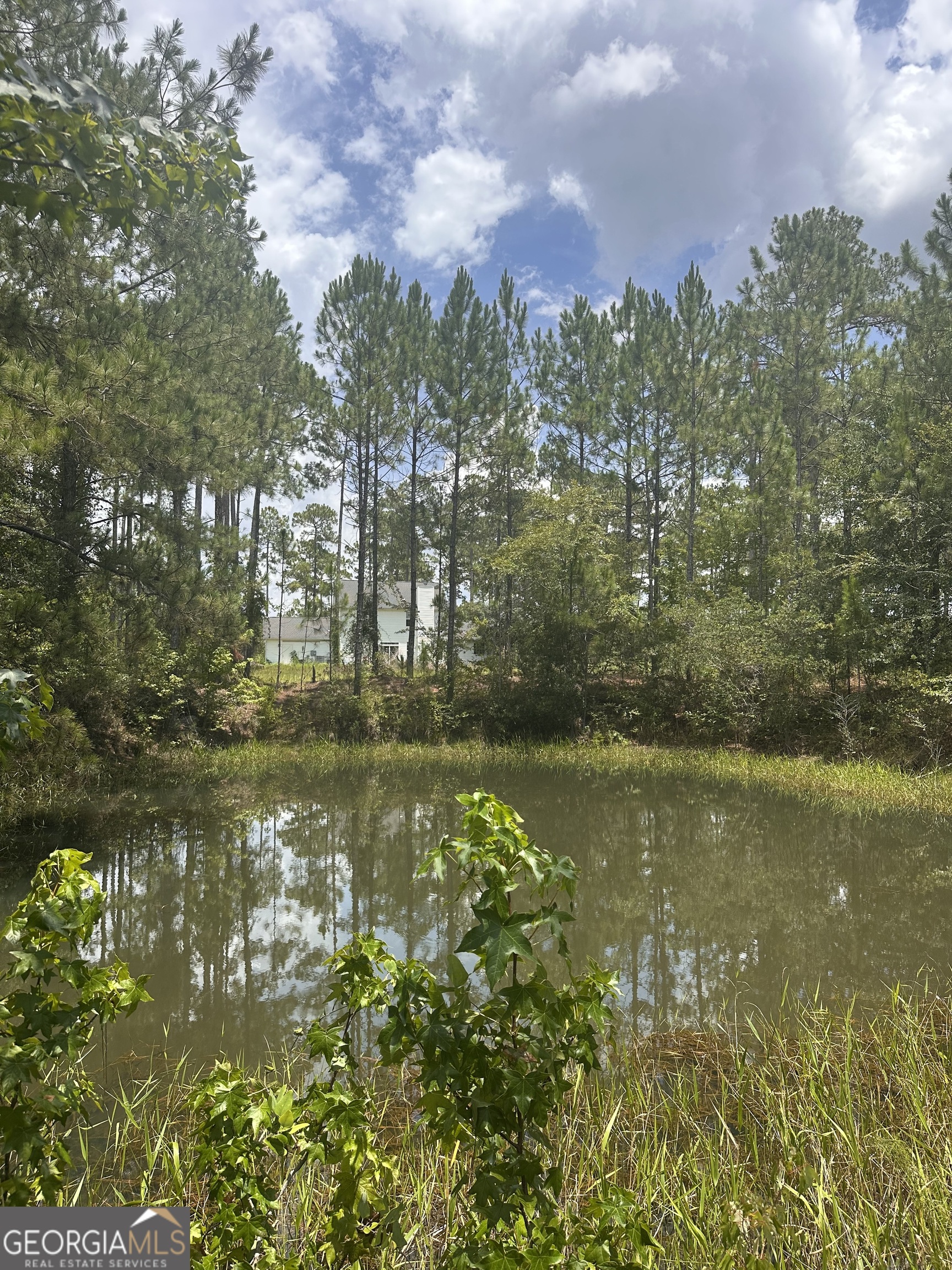 9757 Highway 185 St. George, GA 31562 - Photo 17 of 18