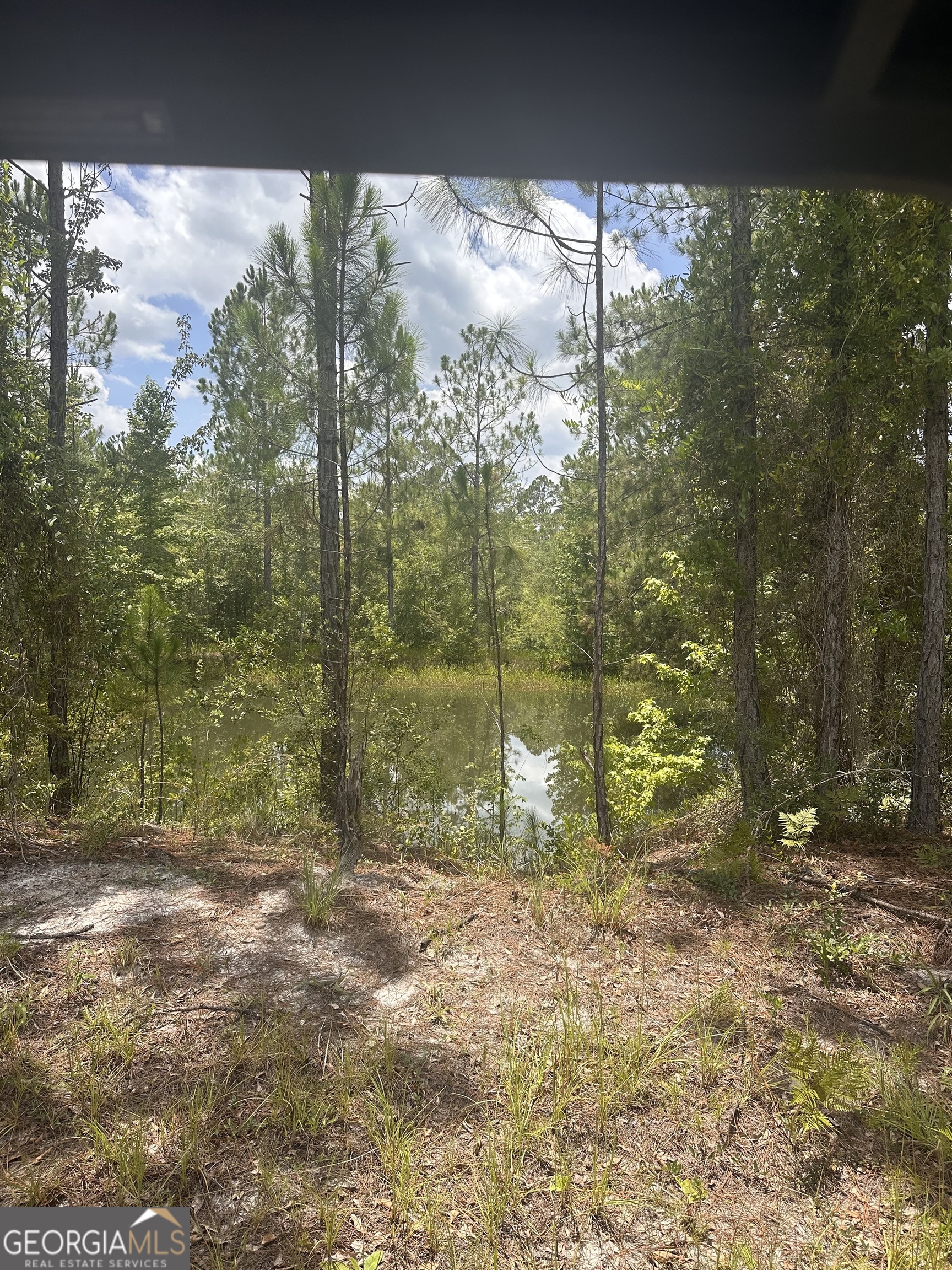 9757 Highway 185 St. George, GA 31562 - Photo 18 of 18