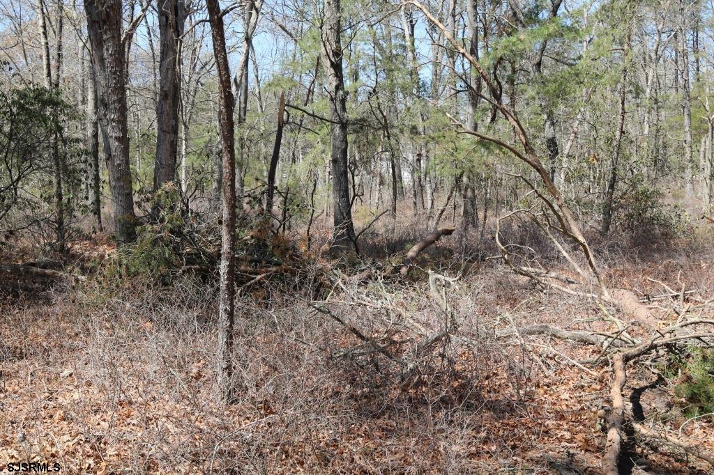 351 Shaws Mill Road Newport, NJ 08345 - Photo 17 of 84