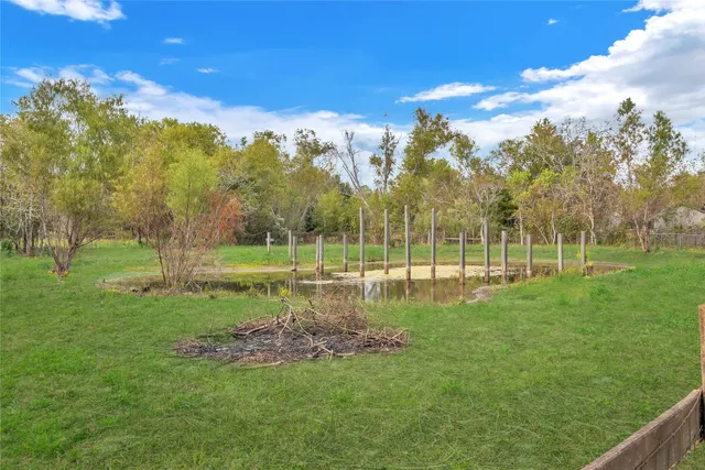 a view of a park with large trees