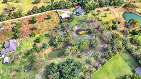 a picture of flowers