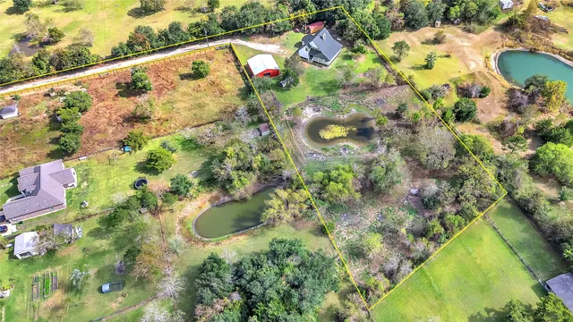 a picture of flowers